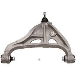 Moog 0'' FrontControl Arm for 2004-2008 Ford F-150